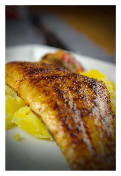 The Science Behind Blackened Redfish Magic: Unlocking the Magical Flavor